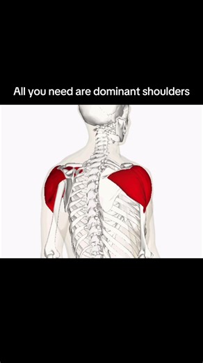Ultimate Guide to Dominant Shoulder Workouts