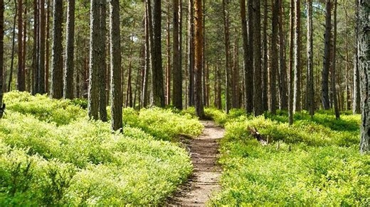 How fear of getting lost on hiking trails stops some travelers cold