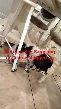 refrigerator Samsung drain line clogged up