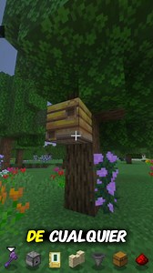 #minecraftbedrock #minecraftpe #minecraftbuilds #minecraft #granjasminecraft #minecraftshorts #minecrafttutorial #minecrafter | Tgamer0311