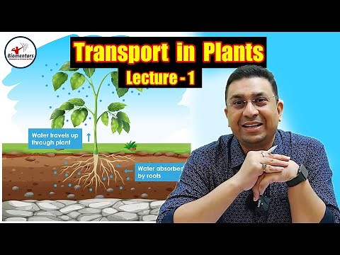 Transport in Plants l Lecture 1 l Biology l NEET