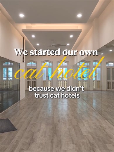 This is why we started a cat hotel in the first place. Follow us along in our journey as we create our cat sanctuary, one purr at a time. Curious about us? WhatsApp 8775 7025 for enquiries. #cathotelsingapore #catboardingsingapore #sgcat #catsofsg #catsoﬁnstagram