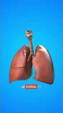 Lire le langage du corps : révélations surprenantes que vous devez connaître#alimentation