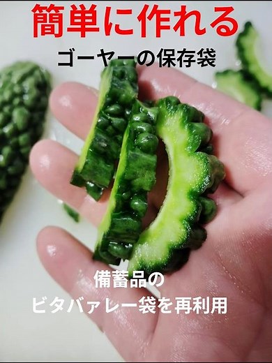 【簡単に作れる】ゴーヤー保存袋【備蓄方法】