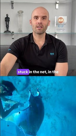 Natalia Molchanova Saved a Manta Ray with Nothing but a Knife & a Swimsuit 💜👙 #freediving #mantaray