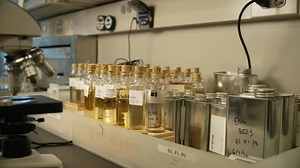 17 reactions | Can engine oil have an effect on fuel efficiency? The short answer is yes! Join Bryan Furnace - host of Diesel and Iron as he sits down with Chevron senior engineers Shawn Whitacre and Kevin Carabell for an inside look at how modern oil formulations work to reduce fuel use and improve your bottom line. https://bit.ly/3m2VJ2I | Chevron Delo | Facebook