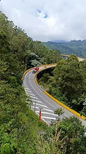 8K views · 154 reactions | ¡Una vista hermosa sobre El Yarumo Blanco de La Línea, desde abajo!  | Reporteros de La línea | Facebook