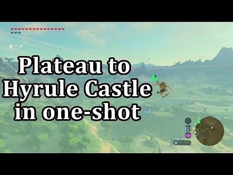 BotW: Setup for Bullet-time Bounce to Hyrule Castle from Temple of Time
