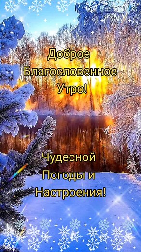 Winter Wonderland: A Snowy Landscape Experience