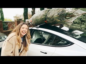 I Got My Norway Spruce & Eating Elf Poop | Vlogmas Day 16