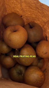 1.1K views · 13 reactions | Are the white flowers in your...