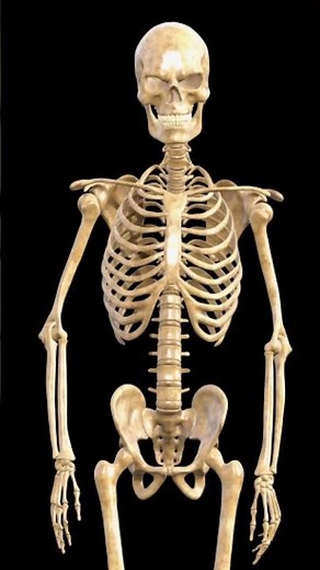 Software Engineering Full Series | Simple English | Exam Oriented | BCA MCA#SoftwareEngineering#EXAM