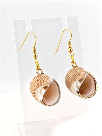 Natural Seashell Drop Earrings, Gold Trim Shell Dangle Earrings, Coastal Beach Jewelry - Etsy