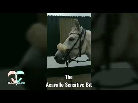 Acavallo Sensitive Bit Review