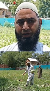 231K views · 3.7K reactions | A farmer from Anantnag District has successfully grown hybrid watermelons on a commercial scale. After the good crop and financial benefits, he gradually increased the plantation area to 16 kanals. Today, his watermelons are in high demand, and other farmers in the village have also started growing them on over 80 kanals of land. Video Firdous Parray #anantnag #Kashmir #farmers #watermelon #fruit #crops #grower #KashmirDespatch | Kashmir Despatch | Facebook