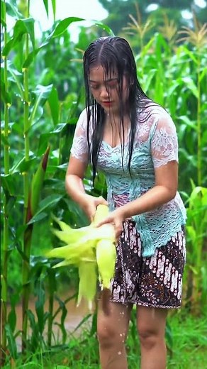 Harvesting Corn in the Rain | Village Girl Working in Heavy Rain #shorts #villagegirl #rain