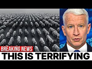 Largest Wolf Pack Ever Recorded: What Are They Hunting?