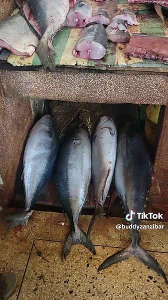 Karibu Zanzibar: Your Ultimate Travel Guide