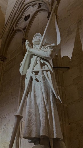 #jeannedarc #juanadearco #francia #france #rosalia