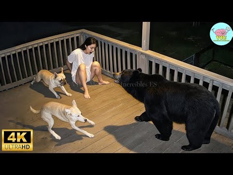 160 Incredible Moments Captured on Camera #42 | The Best of the Month