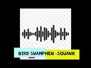 Squawk of bird Swamphen | sound effect/ clip | HD