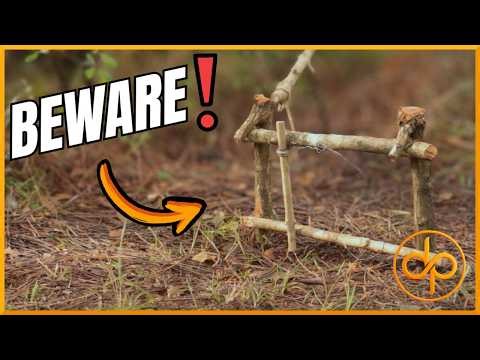 Bushcraft Trapping: How to Build a Reliable Trigger Snare