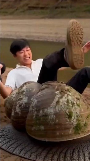 Giant Snail Fun! Two Men Play Like Kids & Slip Off the Shell 😂 #viral #shorts