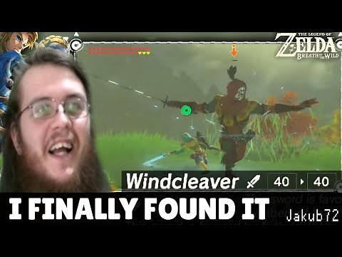 Weapon Connoisseur Windcleaver | Legend of Zelda: Breath of the Wild