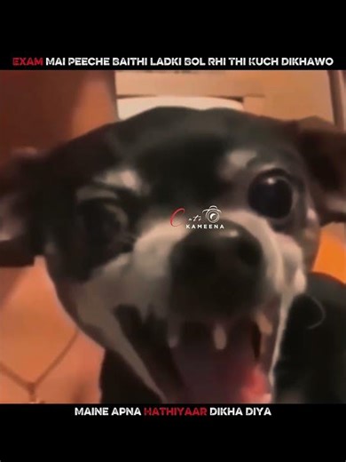 College Ki Lakdi Ko | Apna Hathiyaar Dikha Diya 😁😂🤣 | Funny Memes Status #dailymemes #indianmeme