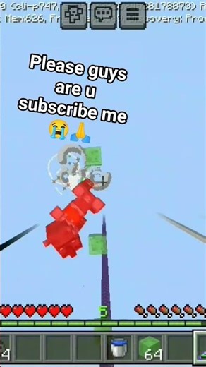 Minecraft video game 🎮