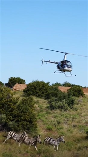 What would you do if a helicopter was flying close behind you?#helicopter#helicopterflight#aviation