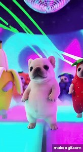 Pibble Dancing on Make a GIF