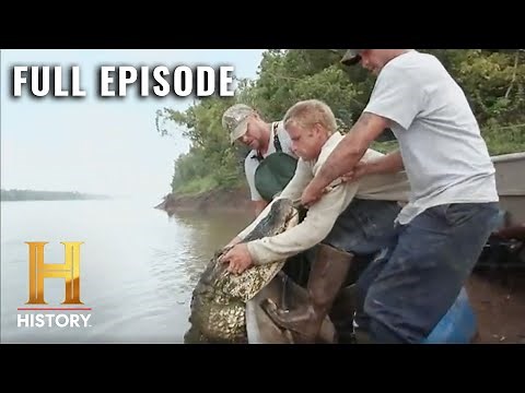 Swamp People: DEADLY MISSION to Capture Massive Gator (S1, E1) | Full Episode | History