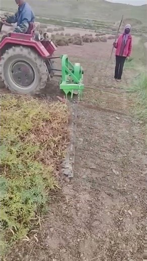 Clearing process of farmland surface vegetation