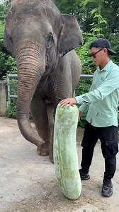 Wellness Nutrition on Reels