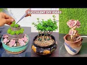 Creative DIY Succulent Arrangements & Craft Ideas for Home & Garden