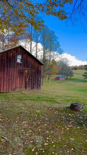 Country House Realty | Jennifer Grimes, Broker on Instagram: "For those who view the grounds of a country pad to be at least as important as the house, the world that makes up the “backyard” at Spruce Haven is an immense crowd pleaser. The level lawn stretches far back, but with much interest along the way: mature trees, stone walls, and the tumbling waters of Scott Brook to name a few. The contemporary house is pretty dynamite too, with 3 en suite bedrooms and large kitchen with a lounge. And t