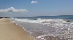 Blue skies, Dolphins, Salt Air and Family make for a perfect beach day on St. George Island󾁇😎 | Collins Vacation Rentals