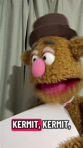 Good grief, the comedian’s a bear! #muppets #puppets #muppet #puppet #kermit