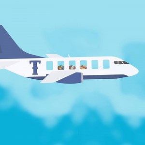 96K views · 171 reactions | No matter where your family is heading this summer don't forget to pack Tastykake for a smooth ride, just for the fun of it! | Tastykake | Facebook