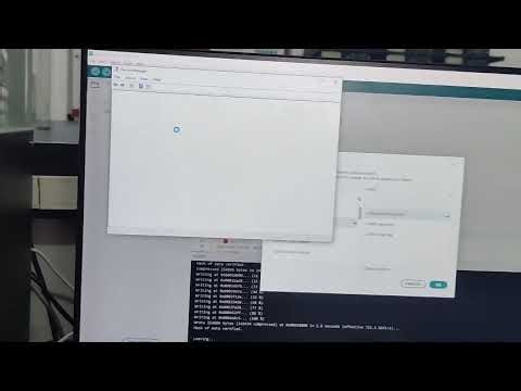 Program to blink LEDs