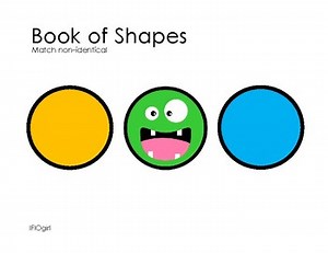 Adaptive Book of Shapes - Matching Non-Identicals