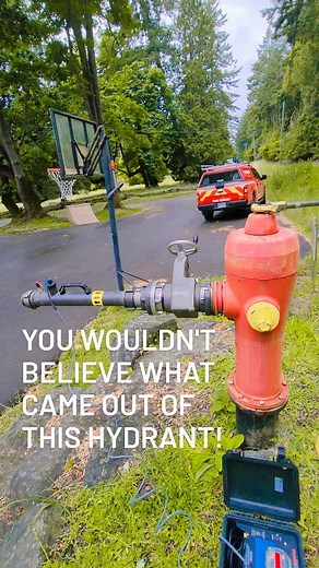 52 reactions · 5 comments | Hydrant Trout are real  Fire hydrant...