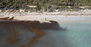 Video by Mikhail Nilov on Pexels