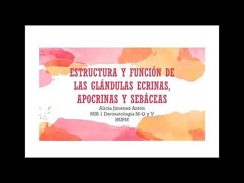 Estructura y función de las glándulas ecrinas, apocrinas y sebáceas