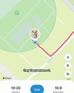 512 reactions · 69 shares | The best GPS Pet Tracker for pet lovers!   Live Tracking: Know where your pet is in real-time  Get alerted when your pet leaves the designated area  Track your pet's health and fitness levels  View all the places your pet has explored  100% Waterproof Join the thousands of pet lovers who trust Tractive to keep their pets safe. Order now and track your pet's adventures! | Tractive | Facebook