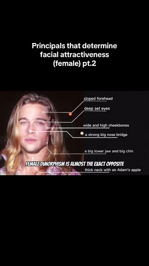 Understanding Female Dimorphism in Facial Attractiveness
