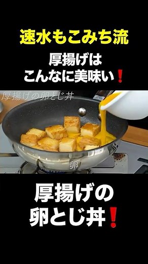 Hayami Mokomichi Style ~ [A hearty and satisfying portion❗️] Egg-covered rice bowl with fried tof...
