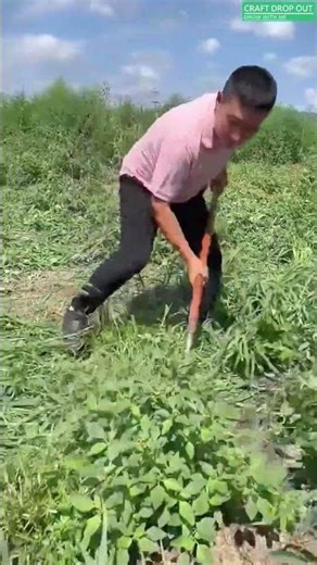 🌿⚙️ Double-Blade Push-Pull Weed Cutter