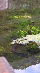 Tirta empul #reels #fbpro | Adara Fredela